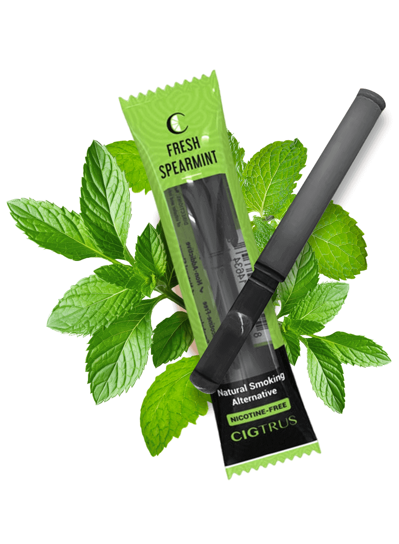 fresh mint e1724961125297