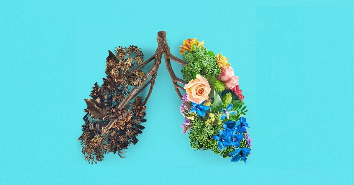 the hidden dangers of slags how they compromise lung health 239572