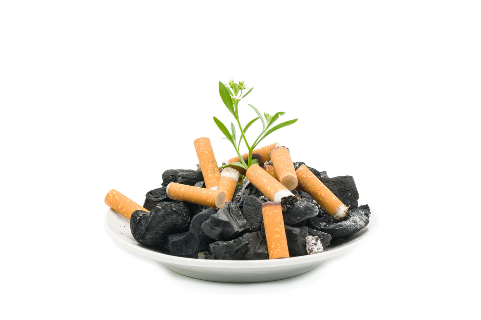 Closeup of cigarette butts and coals on a plate isolated on a white background