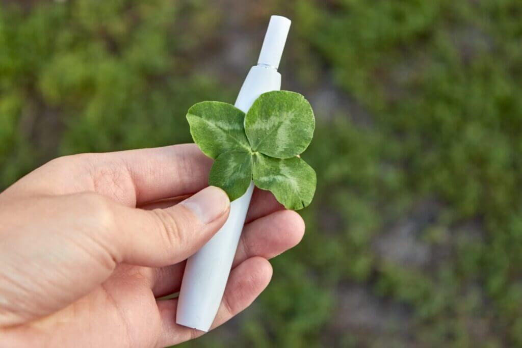 choice between smoking and health