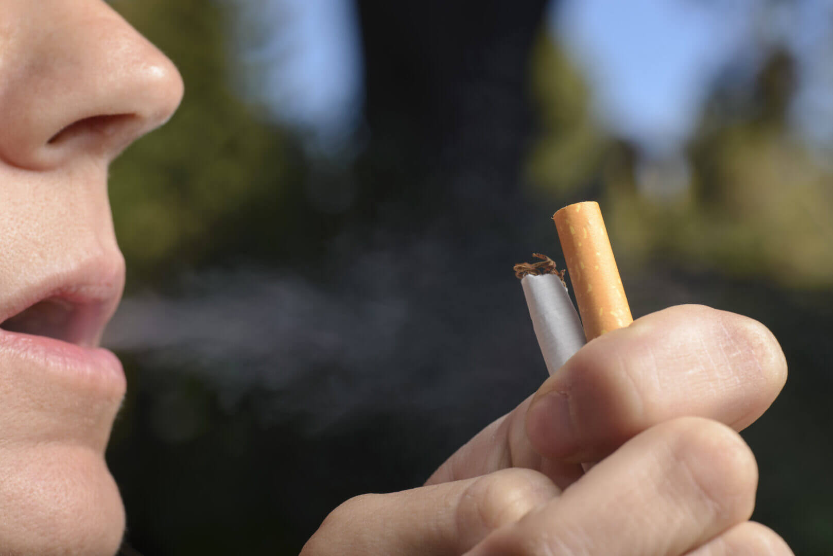 quitting smoking 2026 01 11 10 01 06 utc
