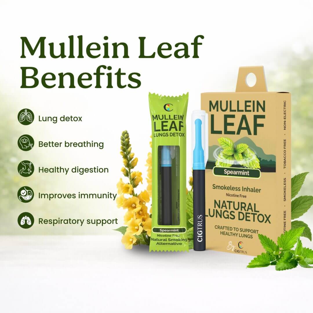 Mullein leaf benefits inhaler respiratory support herbal smokeless alternative Cigtrus