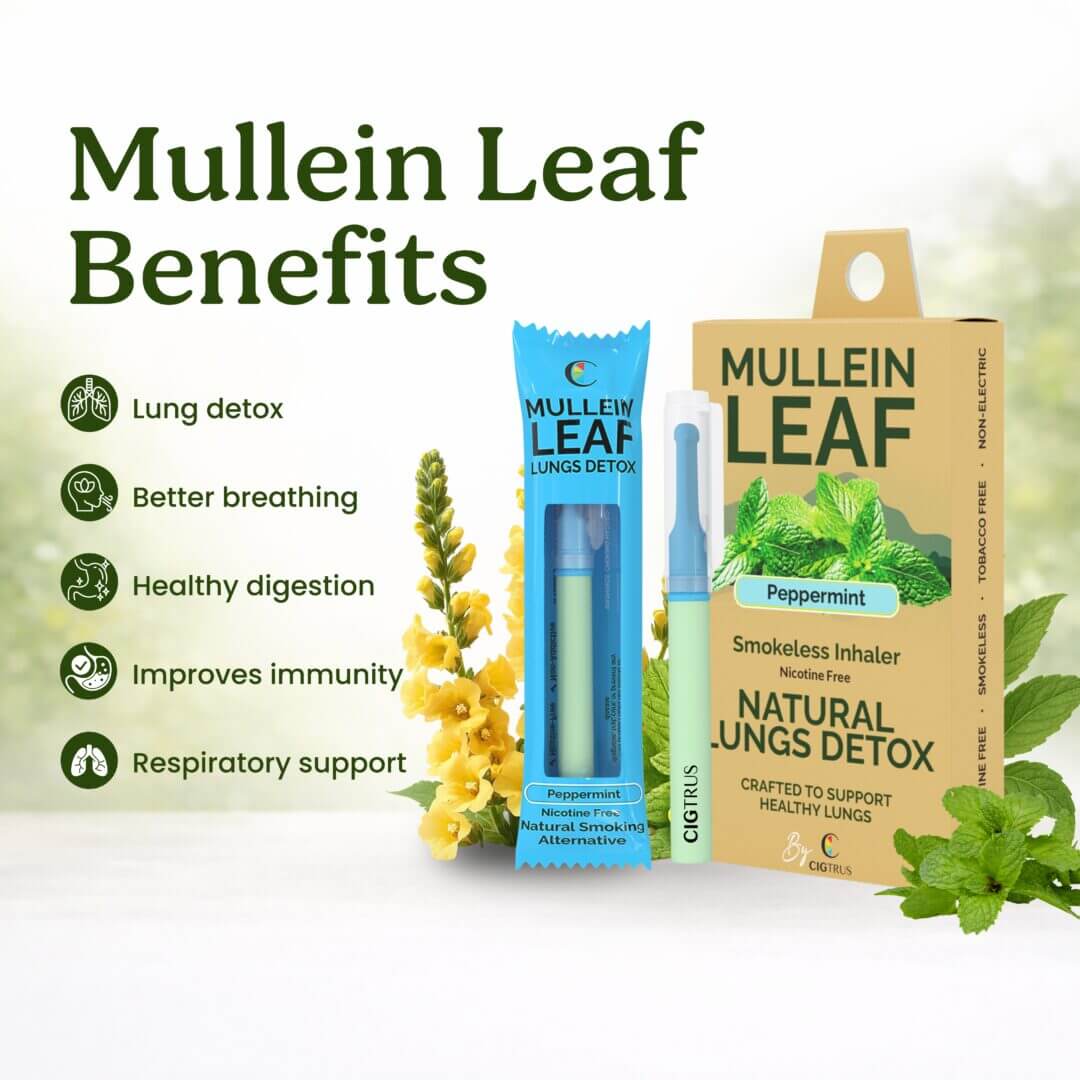 Cigtrus Mullein Leaf herbal aroma inhaler benefits