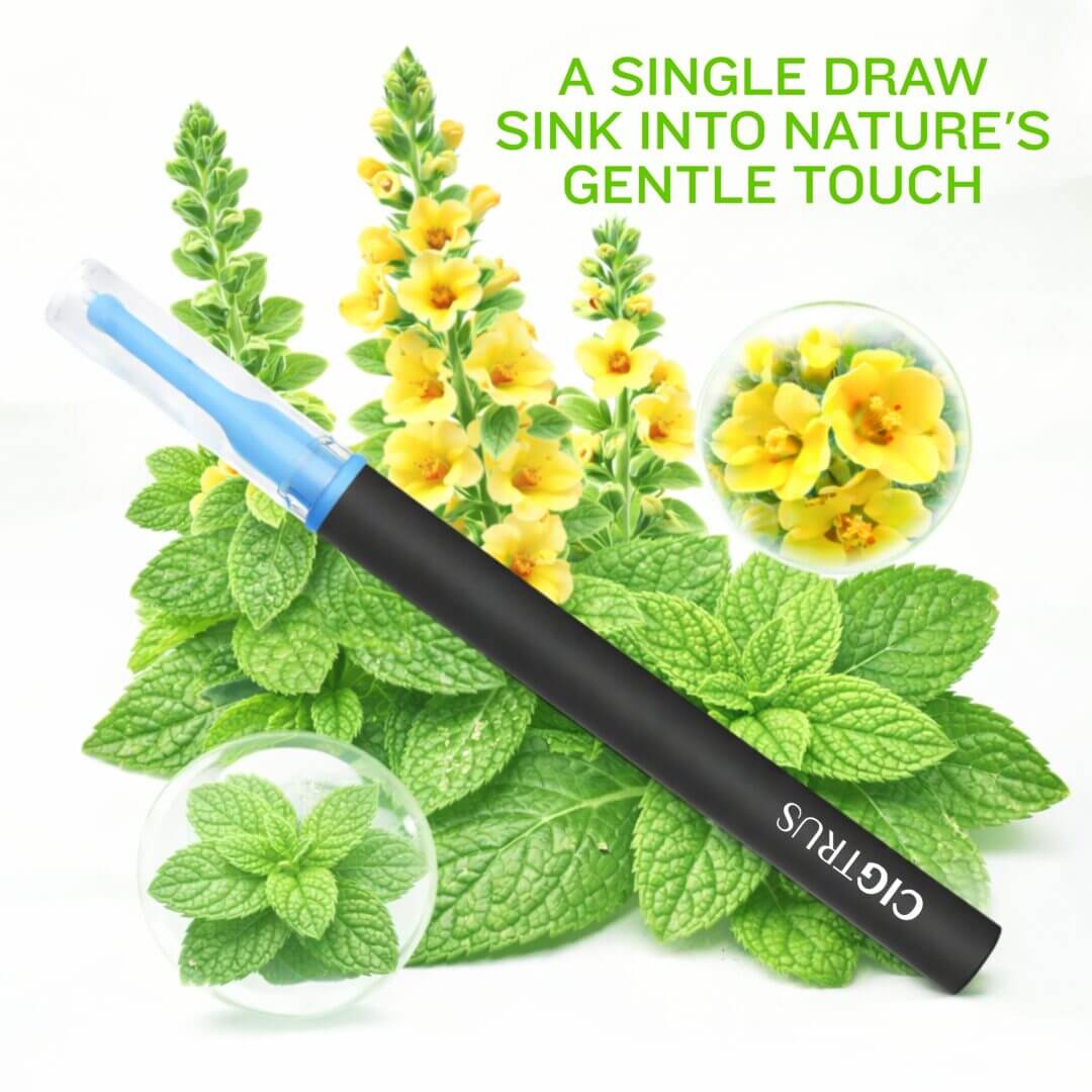mullein leaf spearmint inhaler Cigtrus smokeless herbal inhaler natural alternative