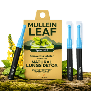 Cigtrus Mullein Leaf Smokeless Inhaler Spearmint nicotine-free herbal inhaler 3 pack
